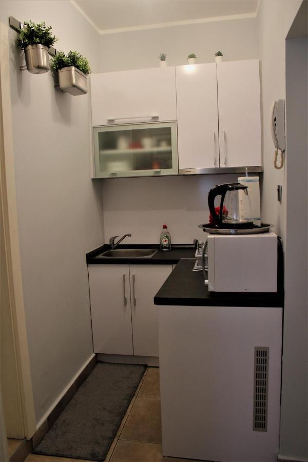 Apartment Skadarlija Free Parking เบลเกรด ภายนอก รูปภาพ