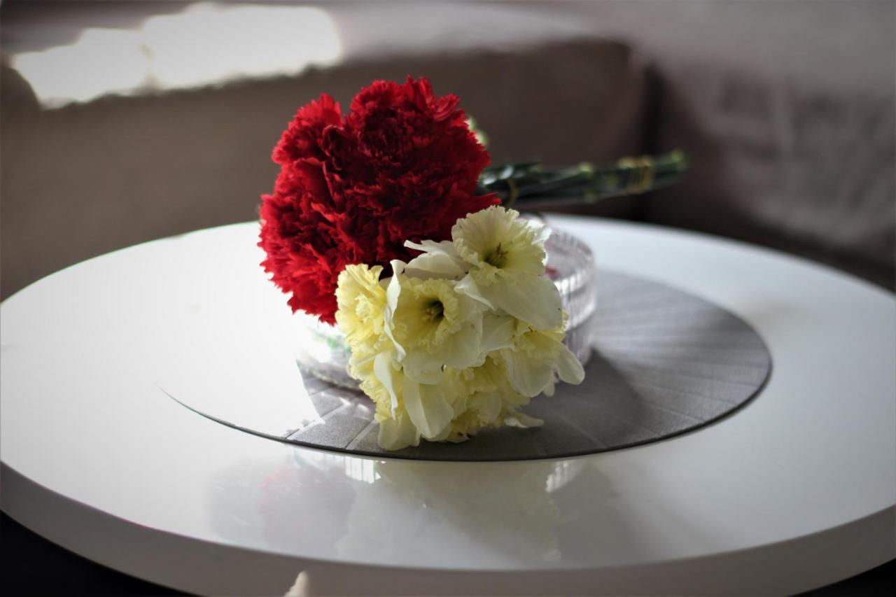 Apartment Skadarlija Free Parking เบลเกรด ภายนอก รูปภาพ